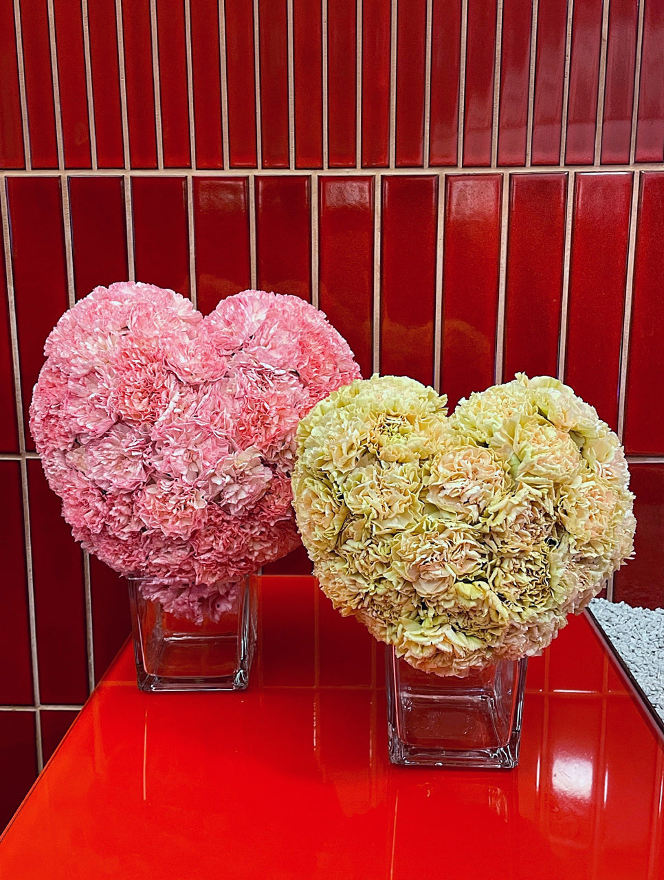 THE HEART OF CARNATIONS