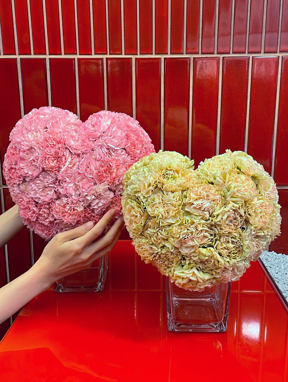 THE HEART OF CARNATIONS