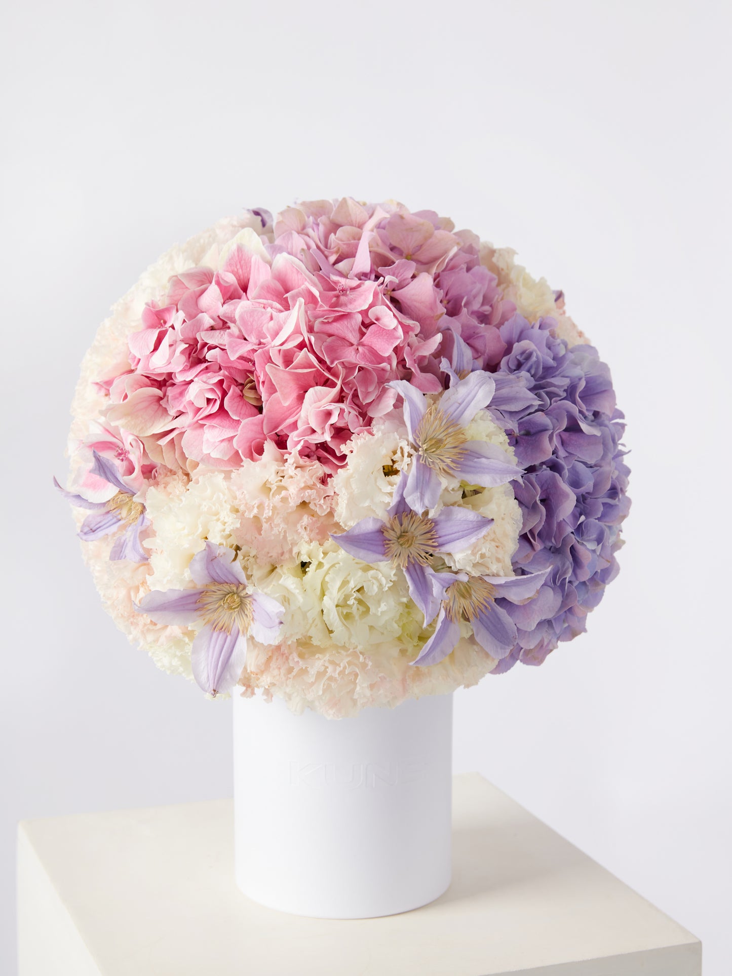 Purple Hydrangea