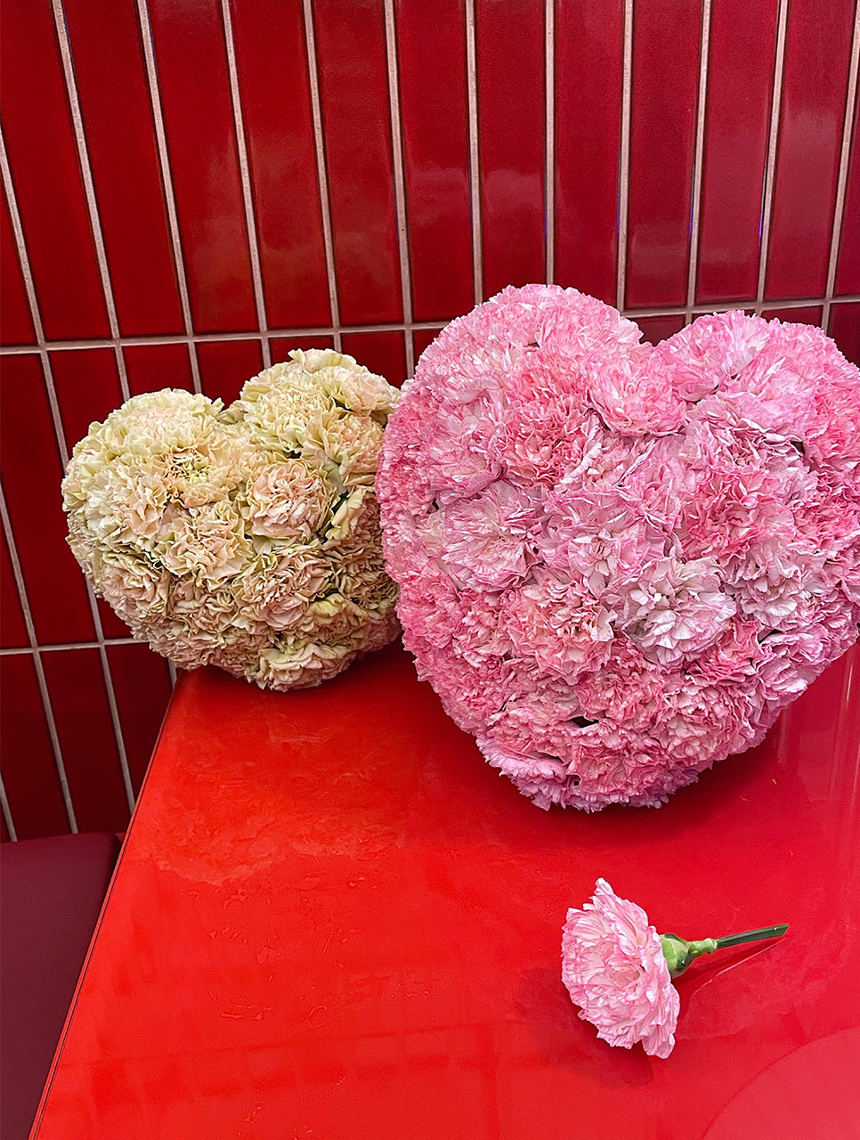 THE HEART OF CARNATIONS